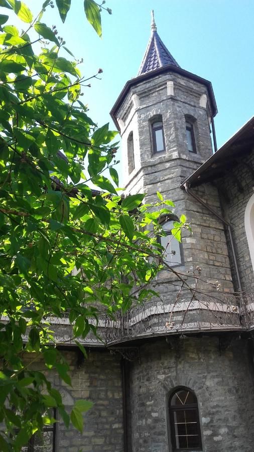 Гостевой дом Castelul Stirbey Синая